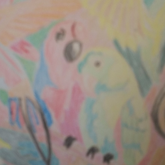 Original Parrots Birds colored pencil Drawing - Picture 6 of 8